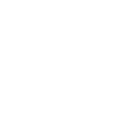 EV Battery